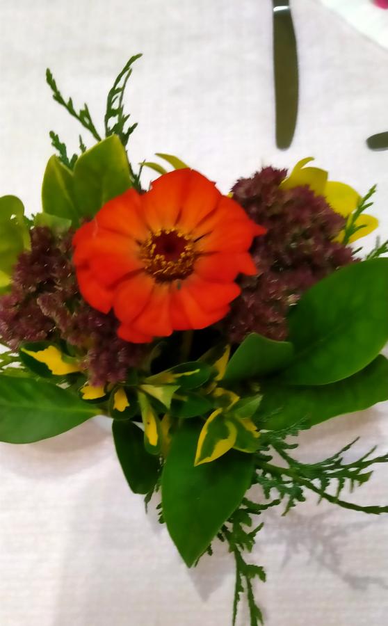 IMG20221015172807