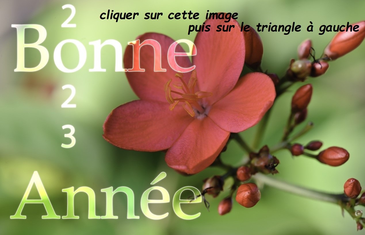 bonne-annee 2023