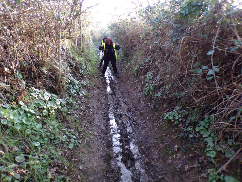 101_1684